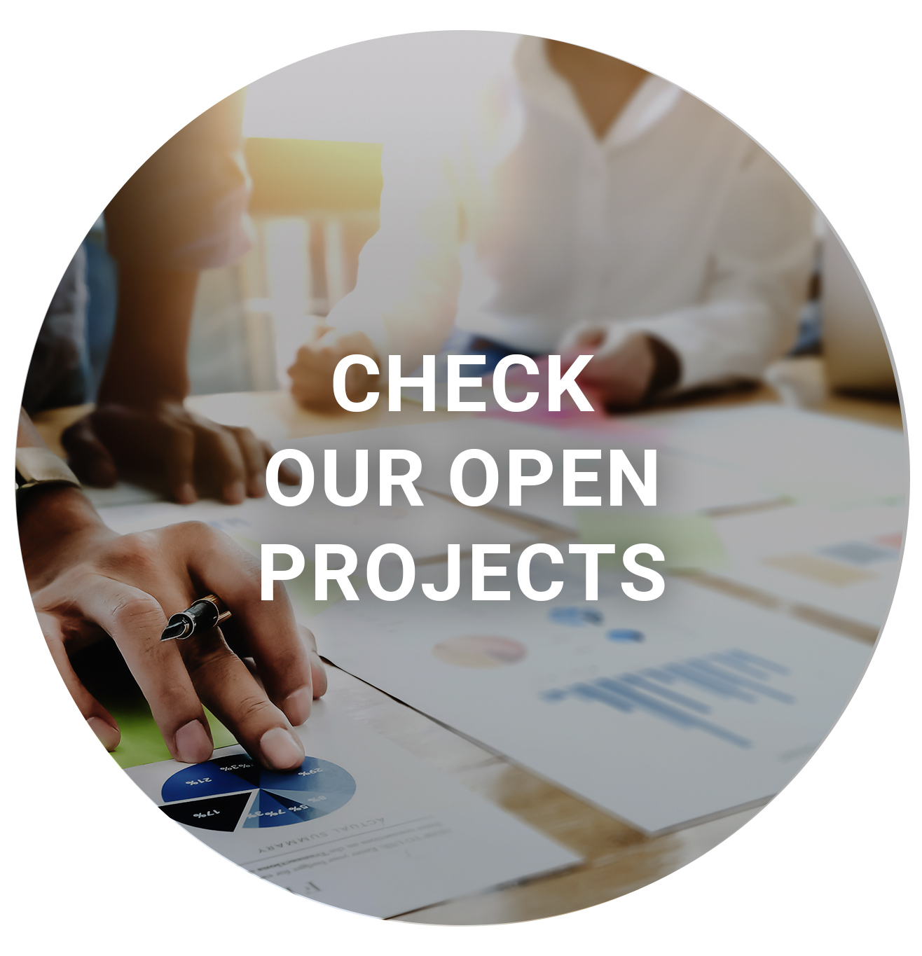 opportunities to volunteer with the or society